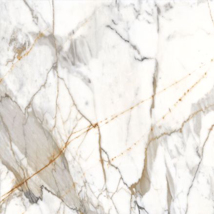 Michelangelo Lux Supra